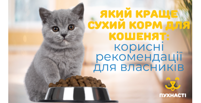 Який краще сухий корм для кошенят: корисні рекомендації для петперентів