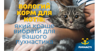 Вологий корм для котів: який краще вибрати для вашого пухнастика