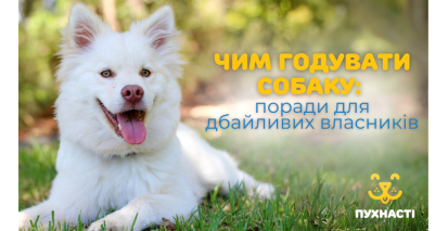 Чим годувати собаку: поради для дбайливих петперентів