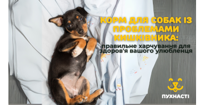 Корм для собак із проблемами кишківника: правильне харчування для здоров'я вашого улюбленця