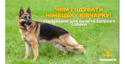 Чим годувати німецьку вівчарку: харчування для сили та здоровʼя собаки