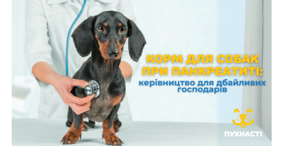 Корм для собак при панкреатиті: керівництво для дбайливих господарів