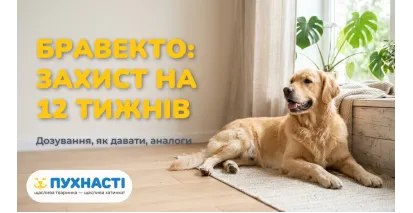 Бравекто для собак — інструкція, дозування, аналоги