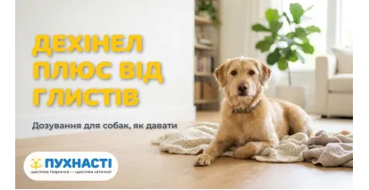 Дехінел Плюс для собак — інструкція з застосування
