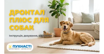 Дронтал Плюс для собак — інструкція, дозування, від Giardia