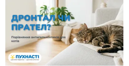 Дронтал чи Прател чи Каніквантел — порівняння антигельмінтиків
