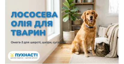 Лососева олія для собак і котів — користь і дозування