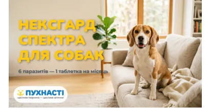 НексГард Спектра для собак — повна інструкція