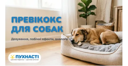 Превікокс для собак — інструкція з застосування