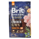 Сухой корм Brit Premium для собак стареющих малых и средних пород, с курицей, 3 кг