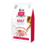 Сухой беззерновой корм Brit Care Activity Support для кошек – активных со свободным выгулом, с индейкой и курицей, 2 кг