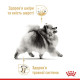 Влажный корм (паштет) для собак ROYAL CANIN POMERANIAN  породы Померанский шпиц, 85 г