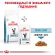 Сухой корм для котов ROYAL CANIN SKIN & COAT  для поддержания кожи и шерсти, 400 г