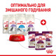 Вологий корм (в соусі) для котів ROYAL CANIN SENSORY SMELL - гастрономічний досвід ЗАПАХУ, 85 г