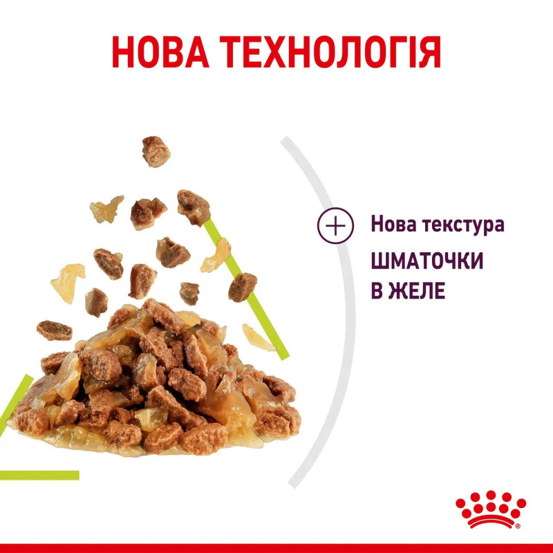 Вологий корм (у желе) для котів ROYAL CANIN SENSORY SMELL - гастрономічний досвід ЗАПАХУ, 85 г
