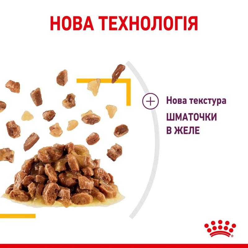 Вологий корм (у желе) для котів ROYAL CANIN SENSORY TASTE - гастрономічний досвід СМАКУ, 85 г