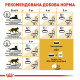 Сухой корм для котов ROYAL CANIN SIAMESE ADULT породы Сиамская, 400 г