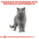Сухой корм для котов ROYAL CANIN BRITISH SHORTHAIR ADULT породы Британская короткошерстная, 4 кг