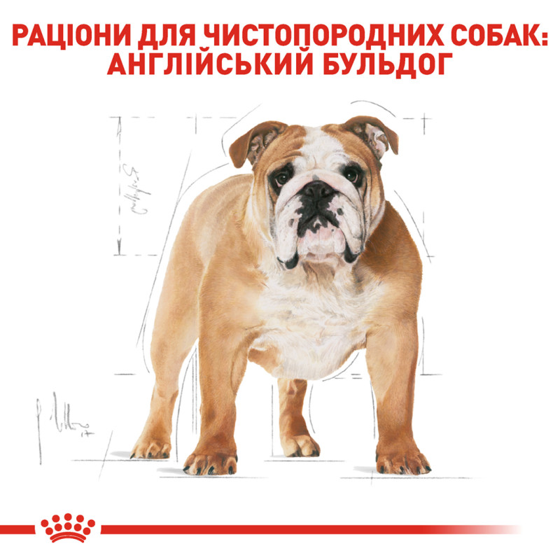 Сухий корм для собак ROYAL CANIN BULL ADULT породи Англійський бульдог, 3 кг