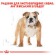 Сухий корм для собак ROYAL CANIN BULL ADULT породи Англійський бульдог, 3 кг