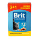Набір паучів "3+1" для котів Brit Premium Cat pouch з лососем і фореллю,  4 х 100г