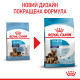 Сухой корм для щенков ROYAL CANIN MAXI STARTER новорожденных больших пород, 4 кг