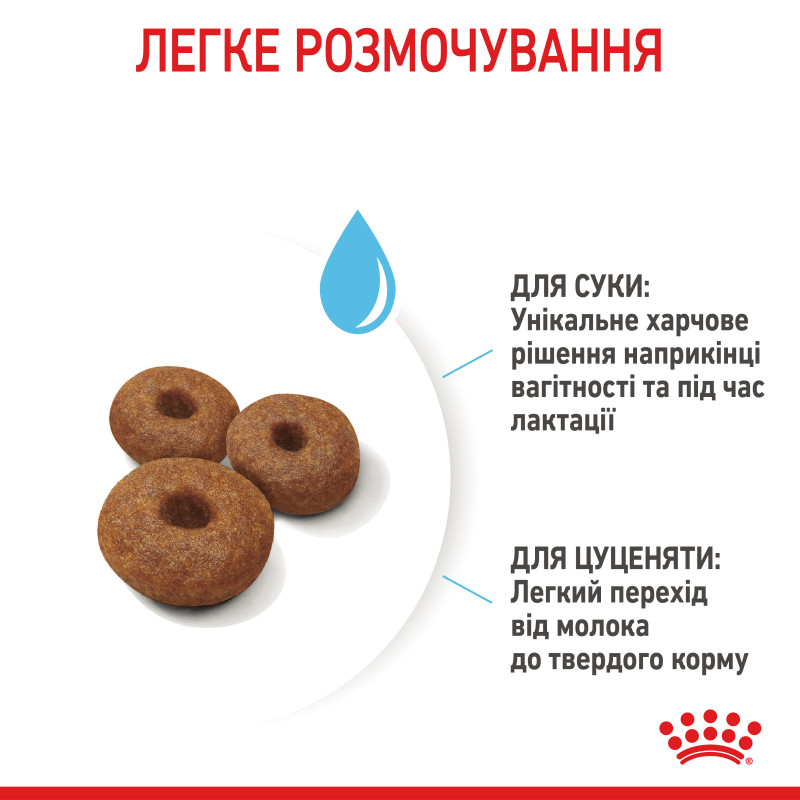 Сухой корм для щенков ROYAL CANIN MAXI STARTER новорожденных больших пород, 4 кг