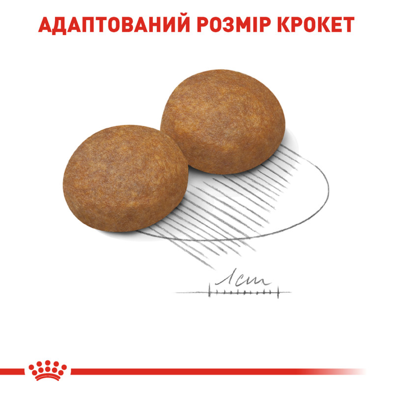 Сухой корм для собак ROYAL CANIN MAXI ADULT 5+ от 5 лет больших пород, 15 кг