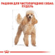 Сухой корм для собак ROYAL CANIN POODLE ADULT породы Пудель, 500 г