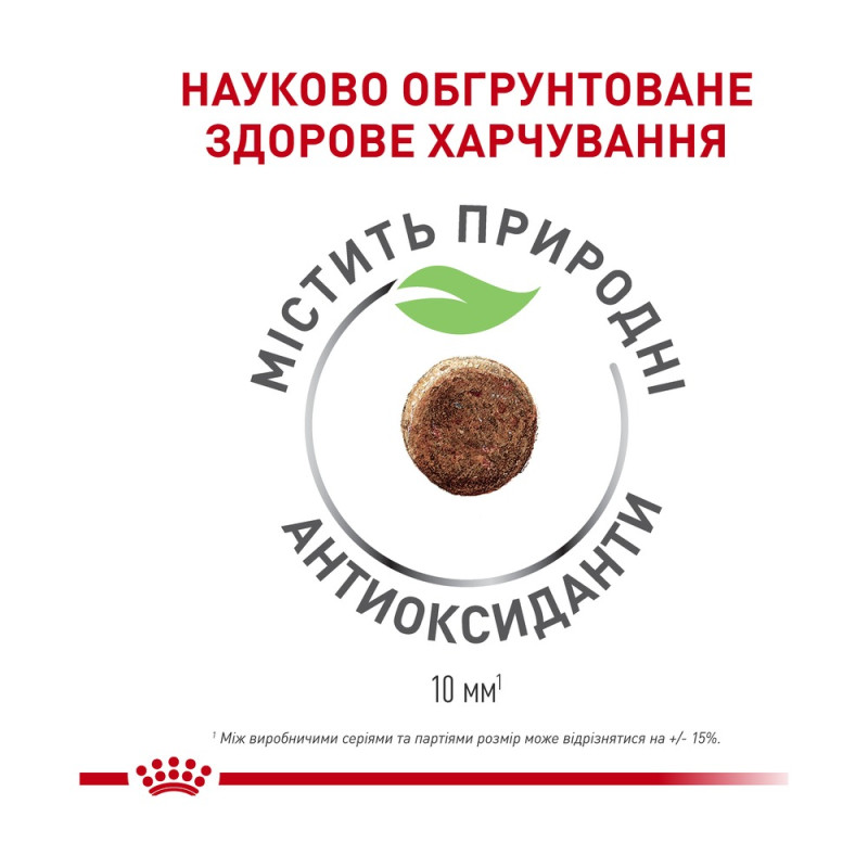 Сухой корм для кошек во время беременности и лактации ROYAL CANIN QUEEN 4 кг