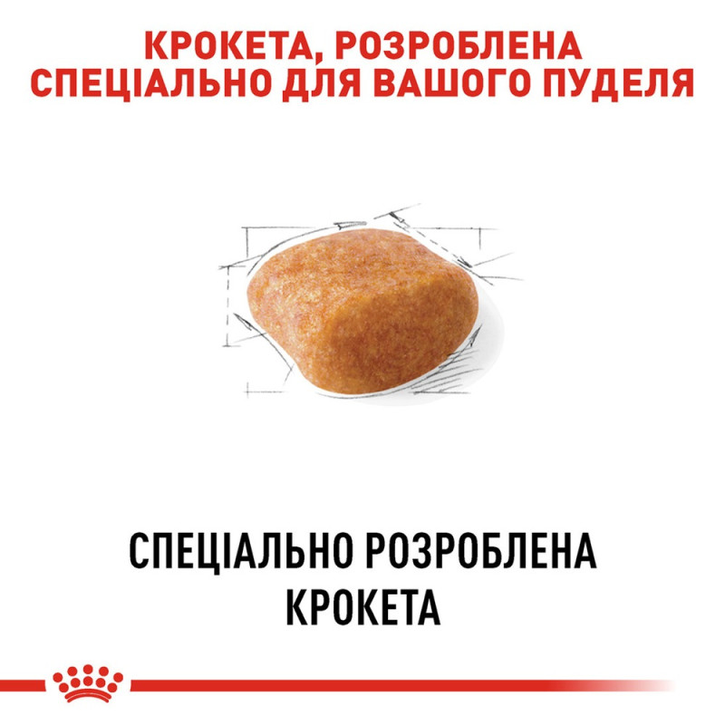 Сухой корм для собак ROYAL CANIN POODLE ADULT породы Пудель, 1,5 кг
