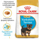 Сухой корм для щенков ROYAL CANIN YORKSHIRE PUPPY породы Йоркшир-терьер, 1,5 кг