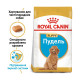 Корм для щенков собак породы Пудель ROYAL CANIN PUPPY POODLE 0.5 кг