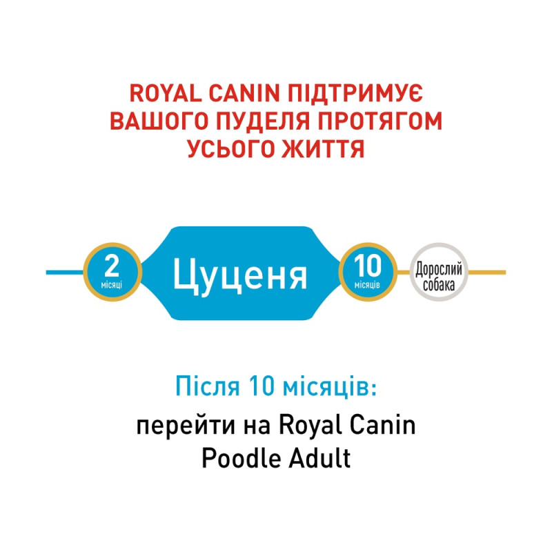 Корм для щенков собак породы Пудель ROYAL CANIN PUPPY POODLE 0.5 кг