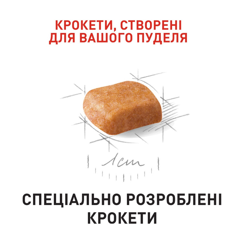 Корм для щенков собак породы Пудель ROYAL CANIN PUPPY POODLE 0.5 кг