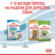Сухий корм для щенят ROYAL CANIN XSMALL PUPPY мініатюрних порід, 1,5 кг