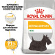 Сухой корм для собак ROYAL CANIN MINI DERMACOMFORT малых пород с склонностью к раздражению и зуду кожи, 3 кг