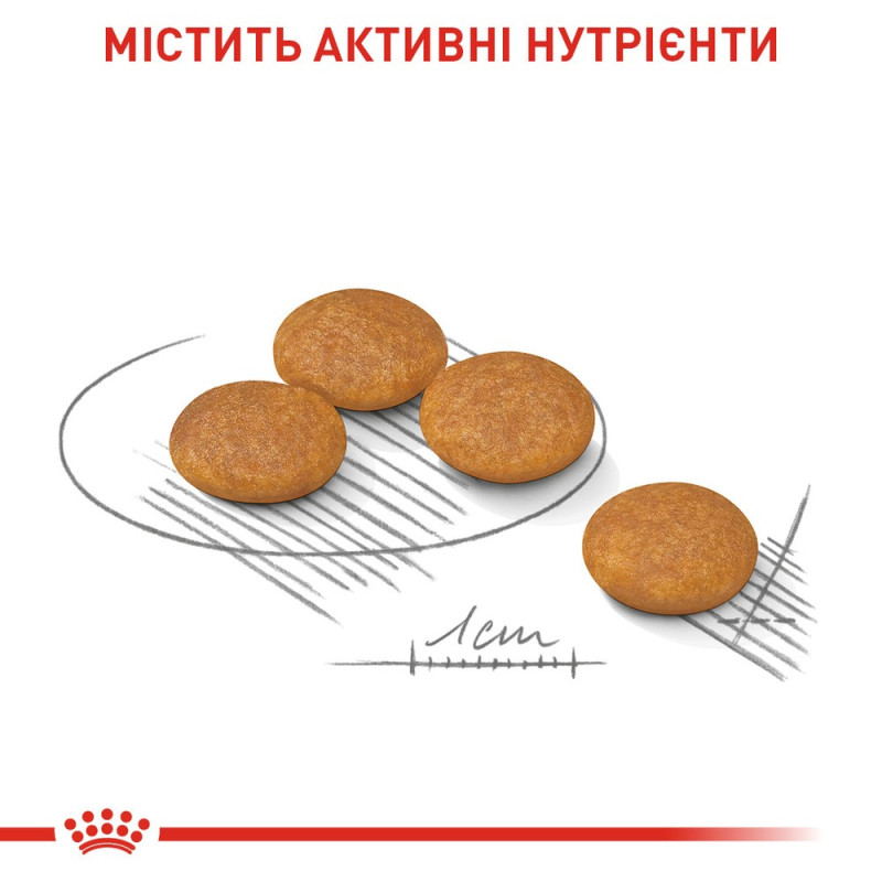 Сухой корм для собак ROYAL CANIN MINI DERMACOMFORT малых пород с склонностью к раздражению и зуду кожи, 3 кг