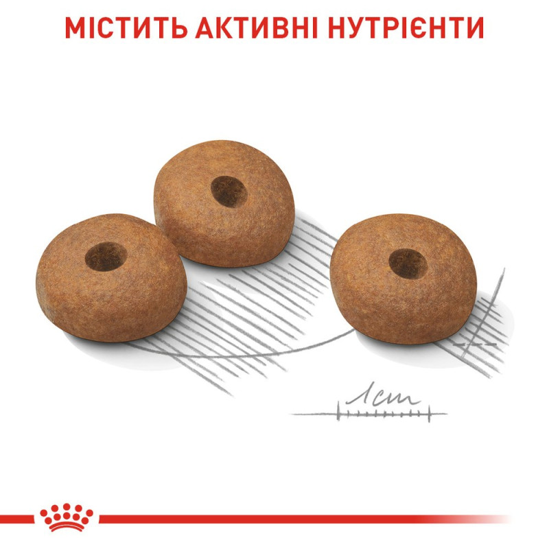 Сухой корм для собак ROYAL CANIN MINI LIGHT WEIGHT CARE малых пород с склонностью к лишнему весу, 3 кг