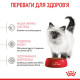 Сухой корм для котят ROYAL CANIN KITTEN, 1,2 кг
