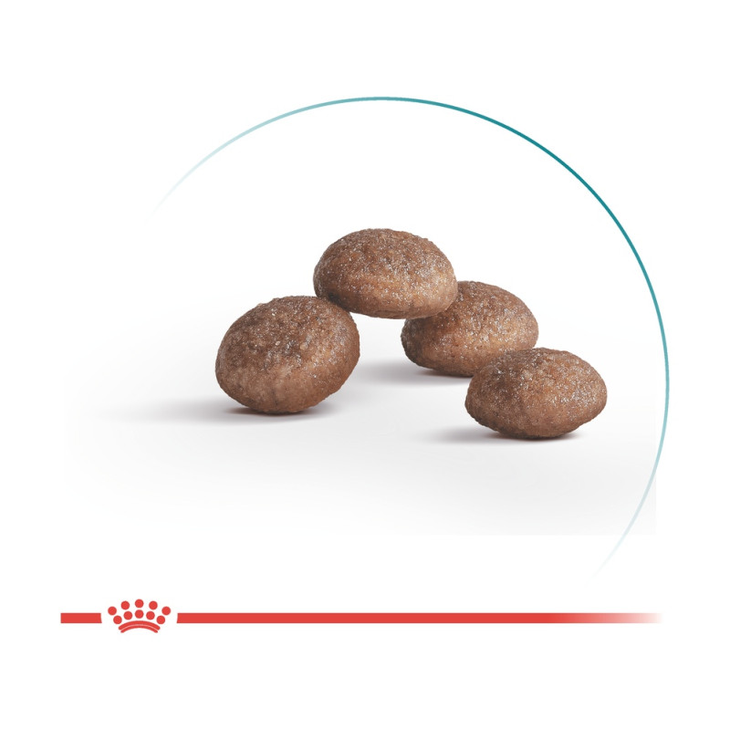 Сухой корм для взрослых кошек ROYAL CANIN HEALTHY AGEING 12+ 2.0 кг