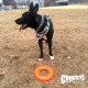 Игрушка CHUCKIT! RUGGED FLYER летающее кольцо для собак малых размеров