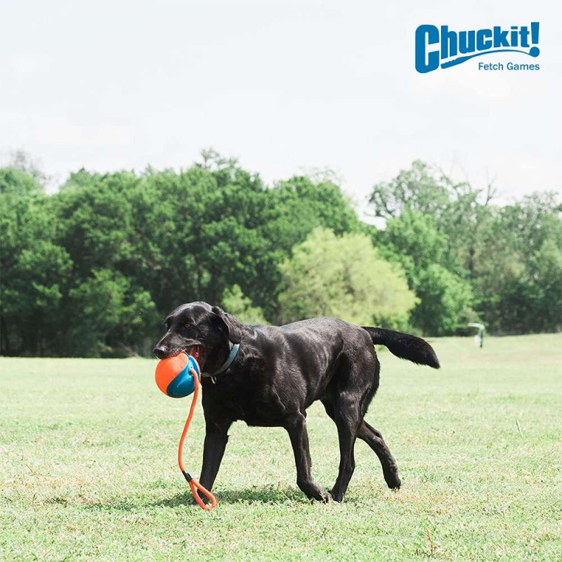 Игрушка CHUCKIT! ROPE FETCH легкий мяч на веревке для собак