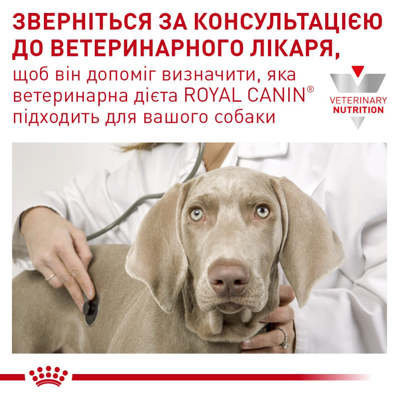 Сухой корм для собак ROYAL CANIN ANALLERGENIC SMALL  малых пород с уменьшенным содержанием аллергенов, 3 кг
