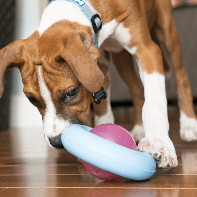 Игрушка KONG Puppy Gyro-Гироскоп для собак д/наполн.лакомством, ассорти, S