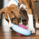 Игрушка KONG Puppy Gyro-Гироскоп для собак д/наполн.лакомством, ассорти, S