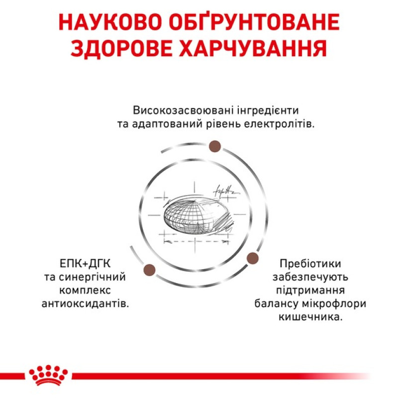 Сухий корм для собак ROYAL CANIN GASTROINTESTINAL для підтримки ШКТ, 15 кг