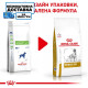 Сухий корм для собак ROYAL CANIN URINARY S/O для підтримки сечовивідних шляхів, 13 кг