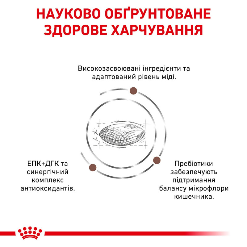 Сухой корм для собак ROYAL CANIN HEPATIC  для поддержания функции печени, 12 кг