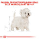 Сухой корм для собак ROYAL CANIN WESTIE ADULT породы Вест-Хайленд-Уайт-терьер, 3 кг
